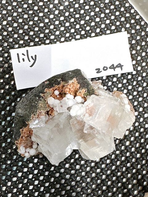 IMG_6822-1732696569427