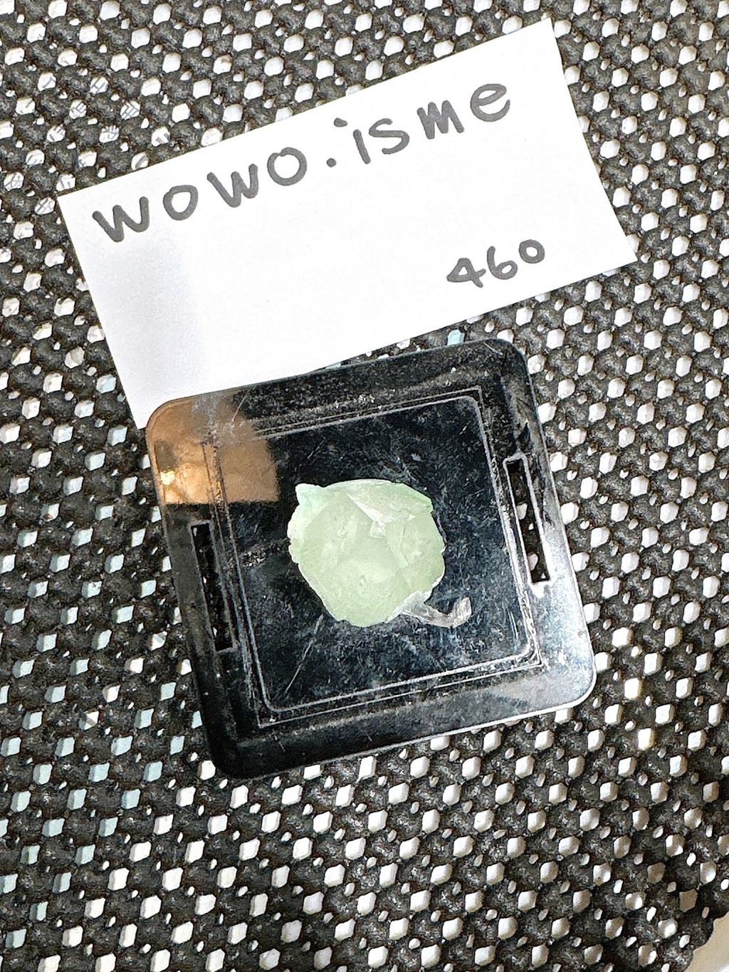 IMG_6823-1732696610241