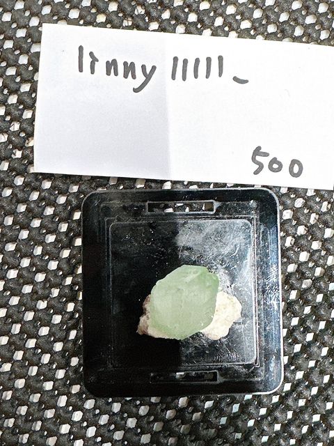 IMG_6824-1732696675766