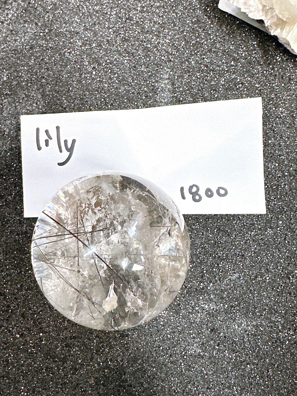 IMG_6825-1732696713831