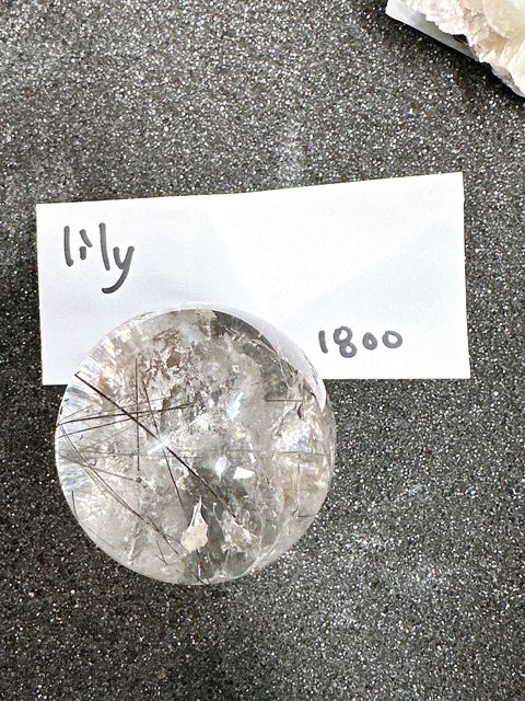 IMG_6825-1732696713831