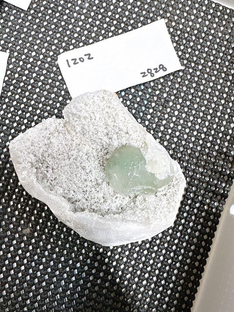 IMG_6826-1732696761745