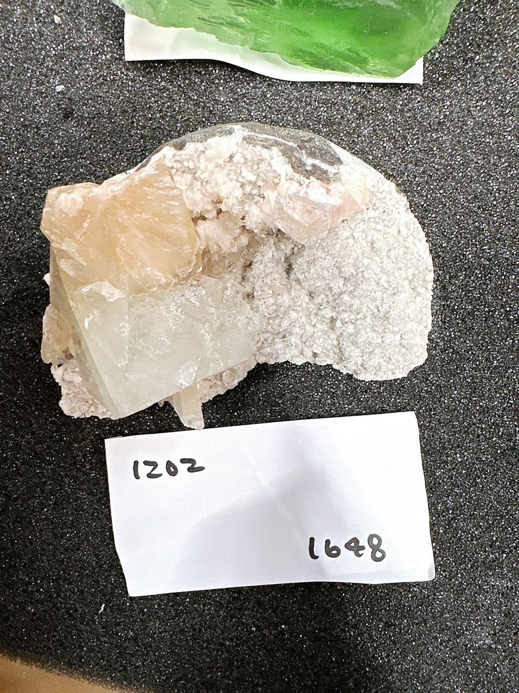 IMG_6827-1732696829574