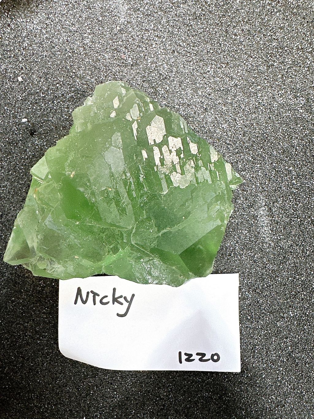 IMG_6828-1732696881977