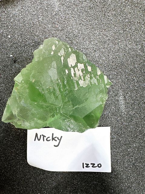 IMG_6828-1732696881977