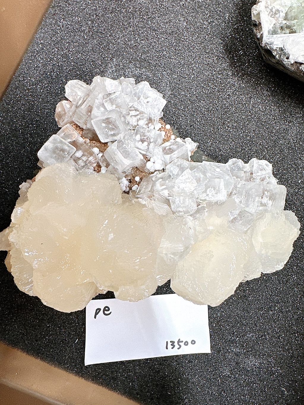 IMG_6829-1732696943228