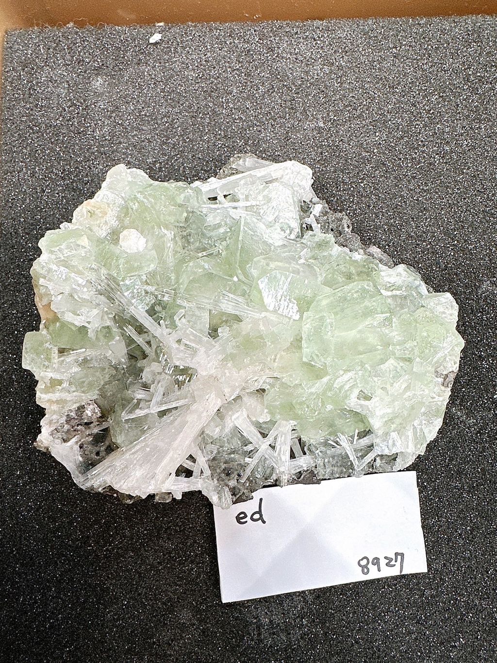 IMG_6830-1732697004993