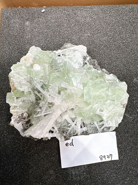 IMG_6830-1732697004993