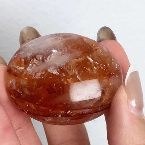 IMG_7190-1733144040491