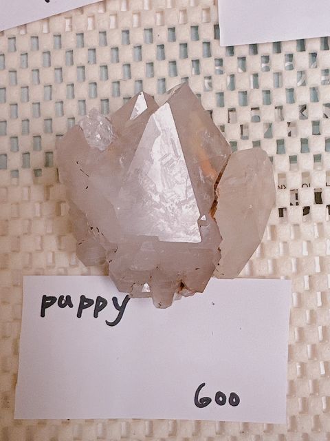 IMG_7255-1733306734161