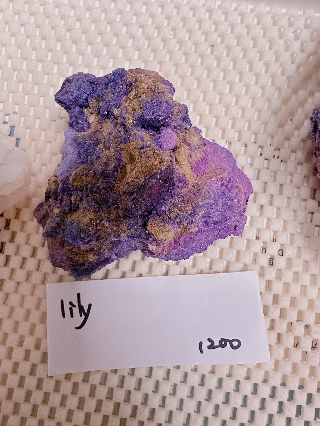 IMG_7256-1733306816685