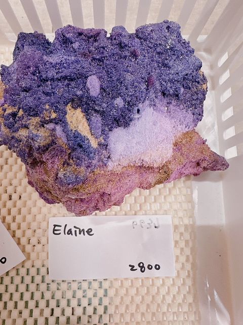 IMG_7257-1733306902461