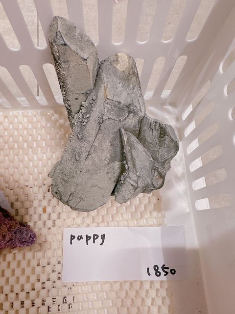 IMG_7258-1733306948830