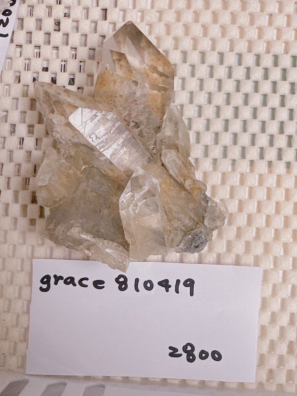 IMG_7260-1733307055178