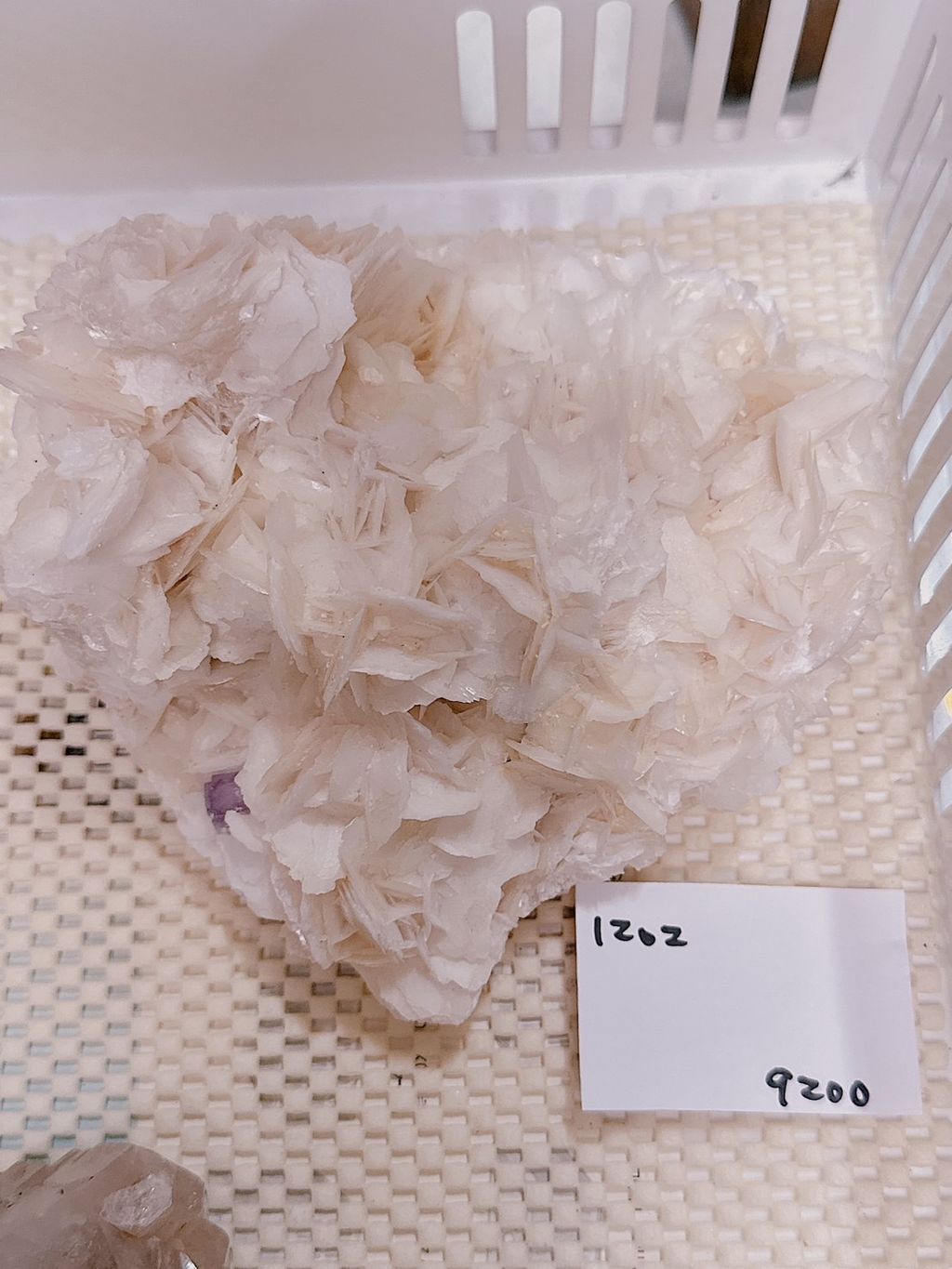 IMG_7261-1733307167249