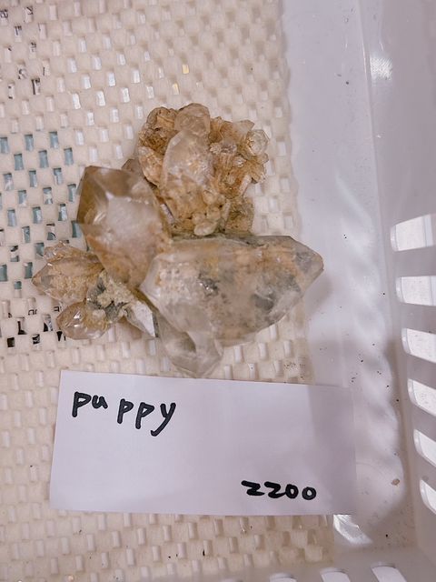 IMG_7262-1733307430070