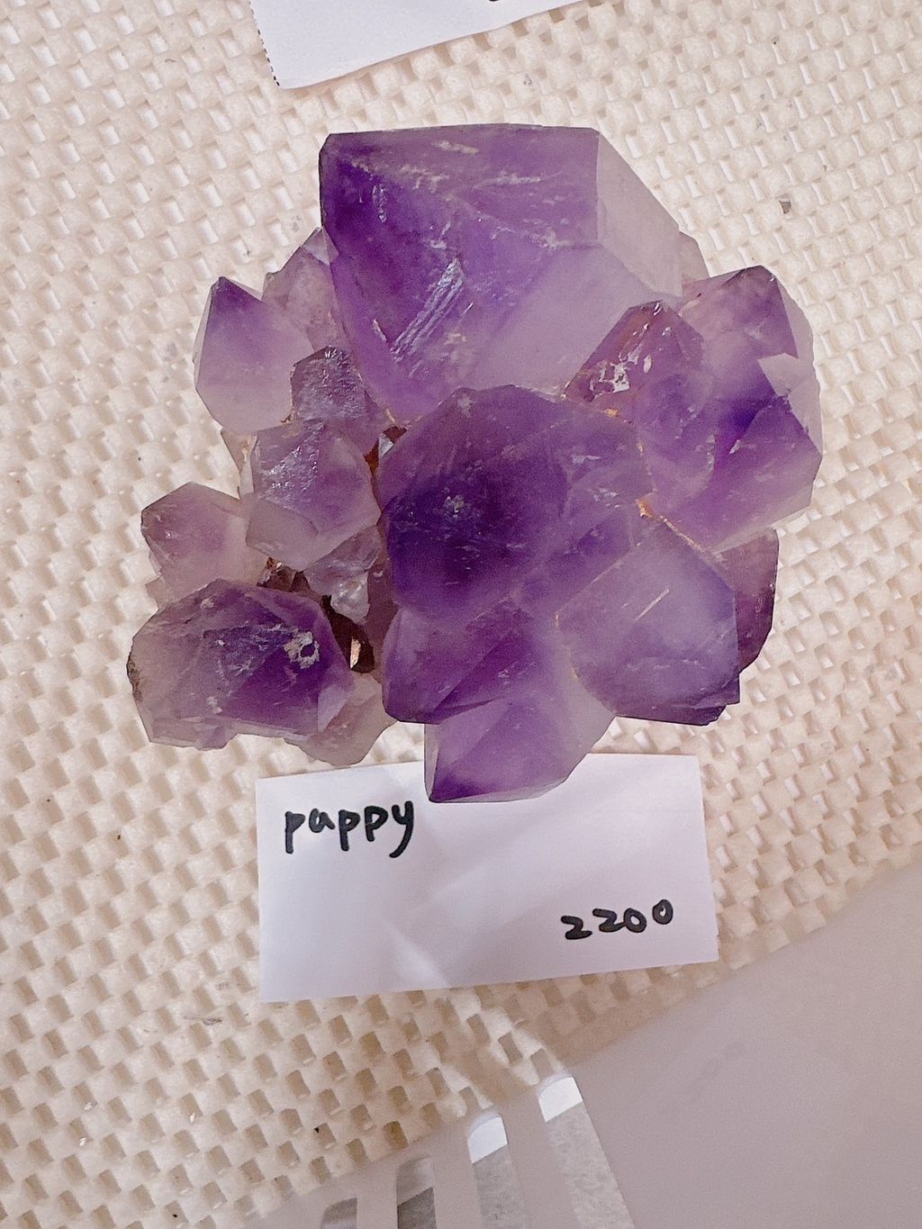 IMG_7263-1733307485282