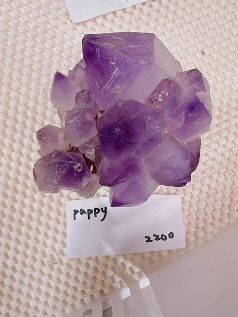 IMG_7263-1733307485282