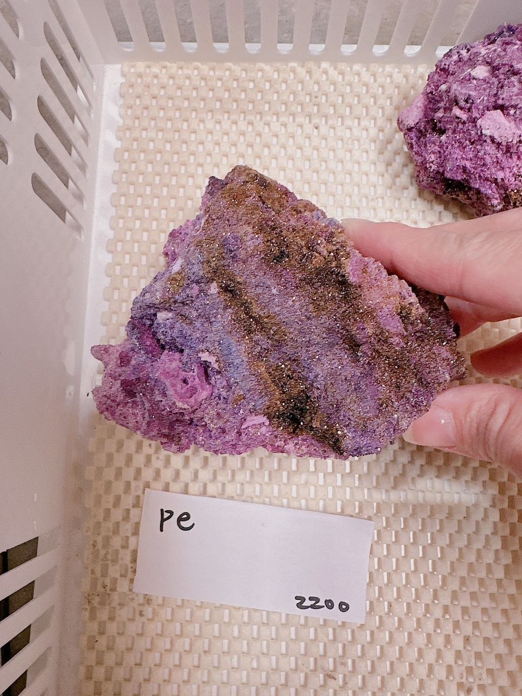 IMG_7264-1733307537940