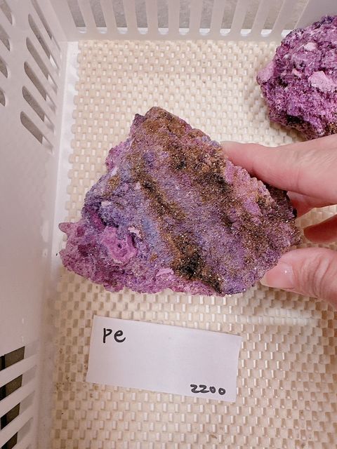 IMG_7264-1733307537940