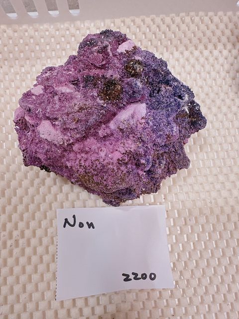 IMG_7265-1733308069694