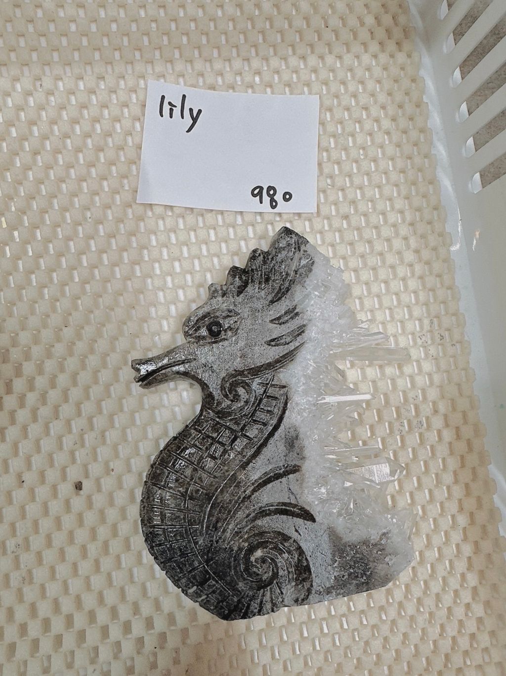 IMG_7267-1733308539504