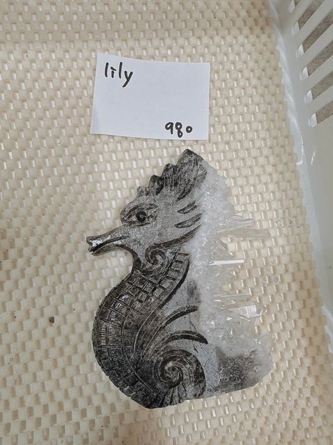 IMG_7267-1733308539504