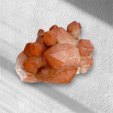 Photoroom_20241205_202452-1733401713453