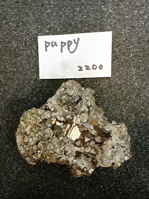 IMG_7401-1733409161960