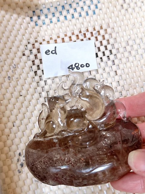 IMG_7404-1733409262348