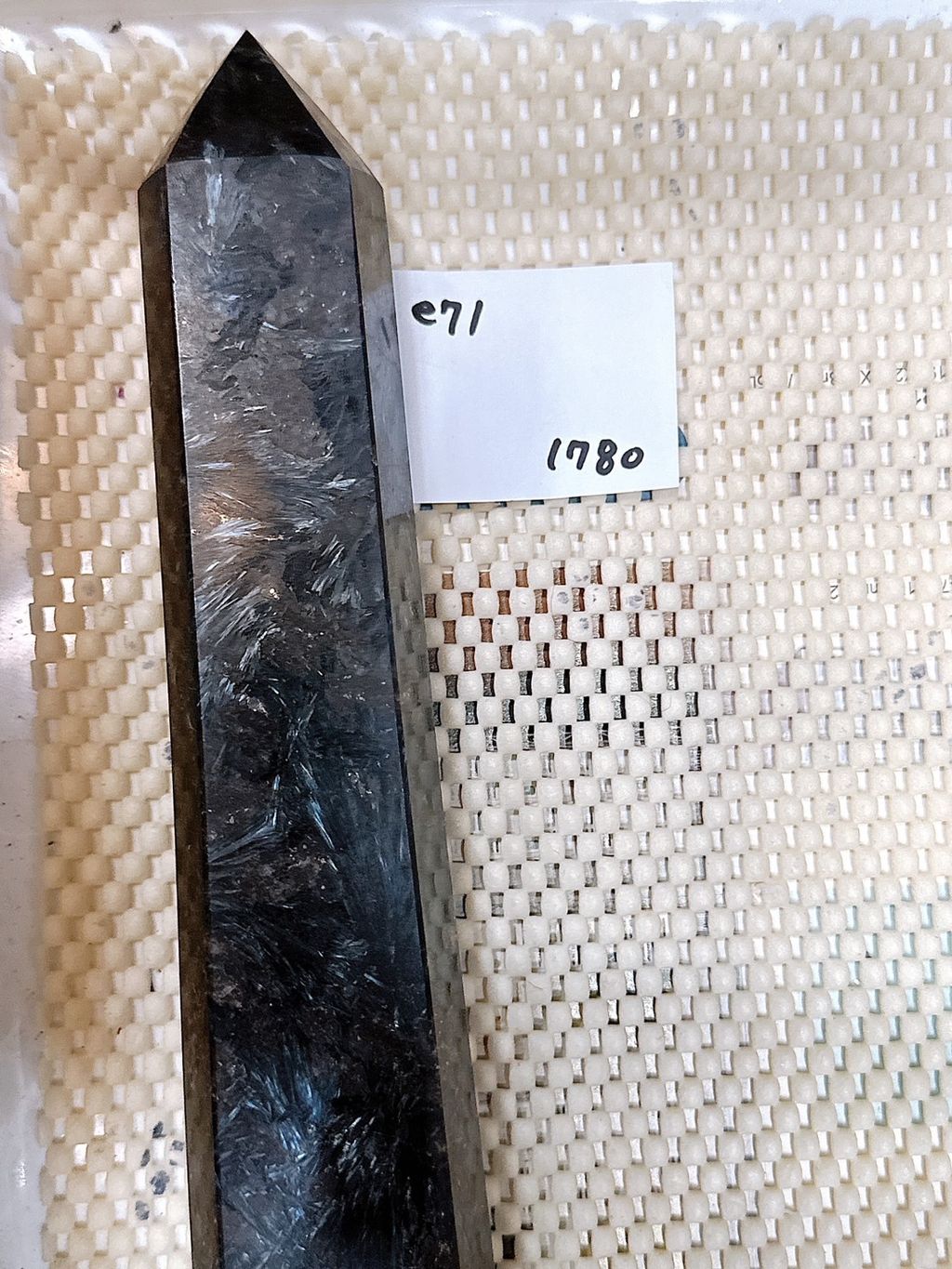 IMG_7406-1733409329187