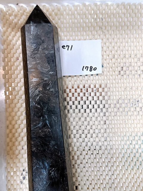 IMG_7406-1733409329187