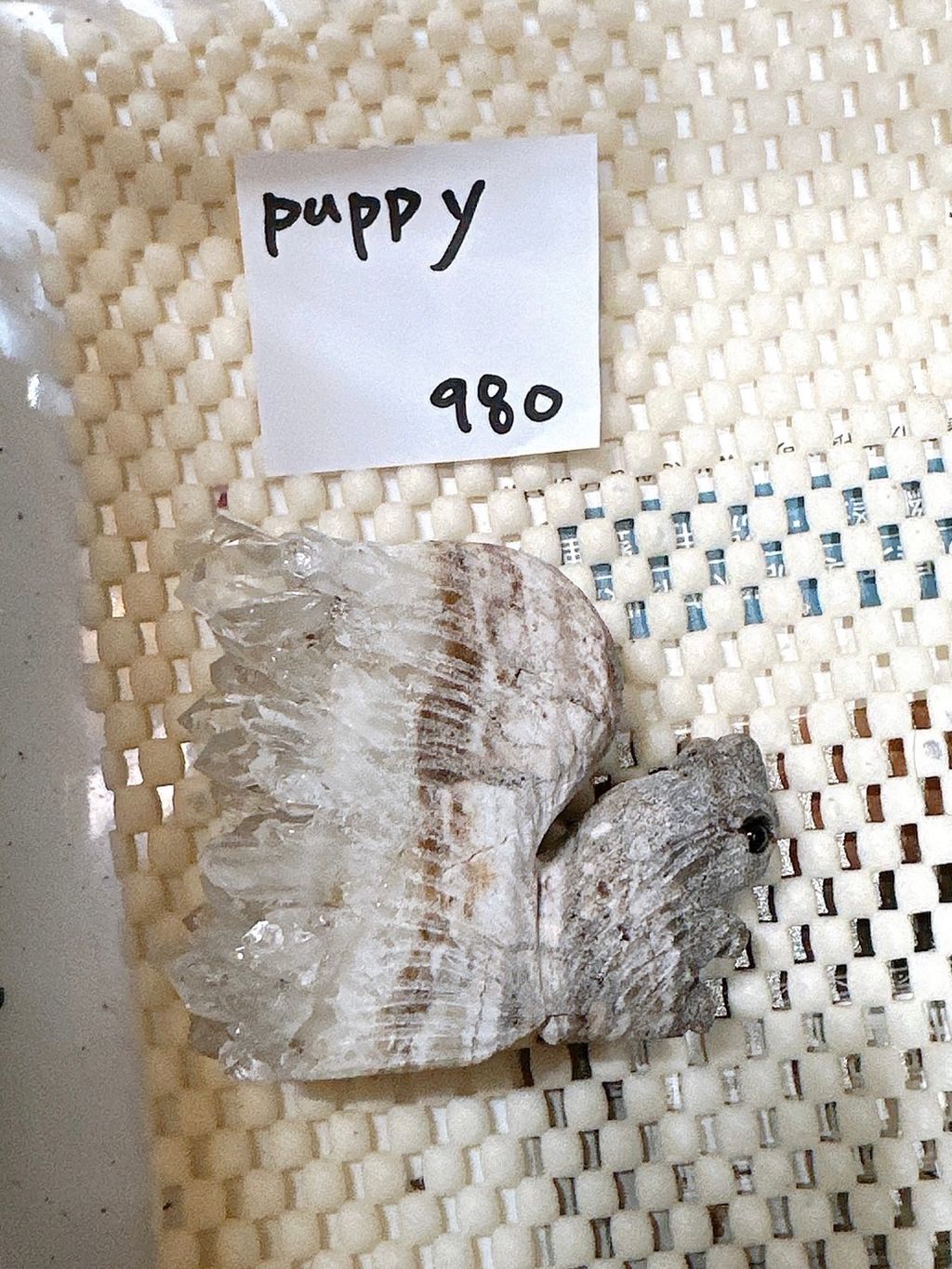 IMG_7409-1733409449075