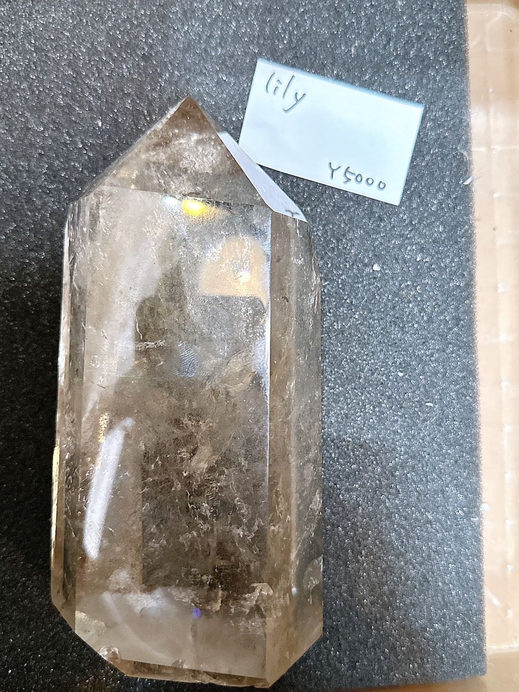 IMG_7410-1733409481698