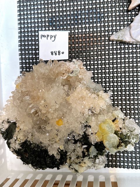 IMG_7411-1733409525510