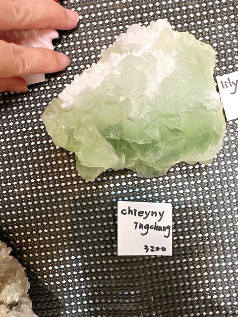 IMG_7414-1733409659472