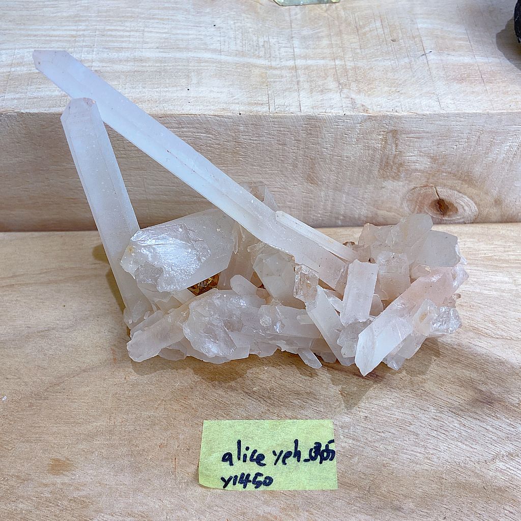 IMG_7566-1733702235554