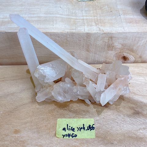 IMG_7566-1733702235554