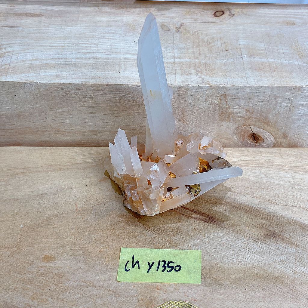 IMG_7568-1733702317582