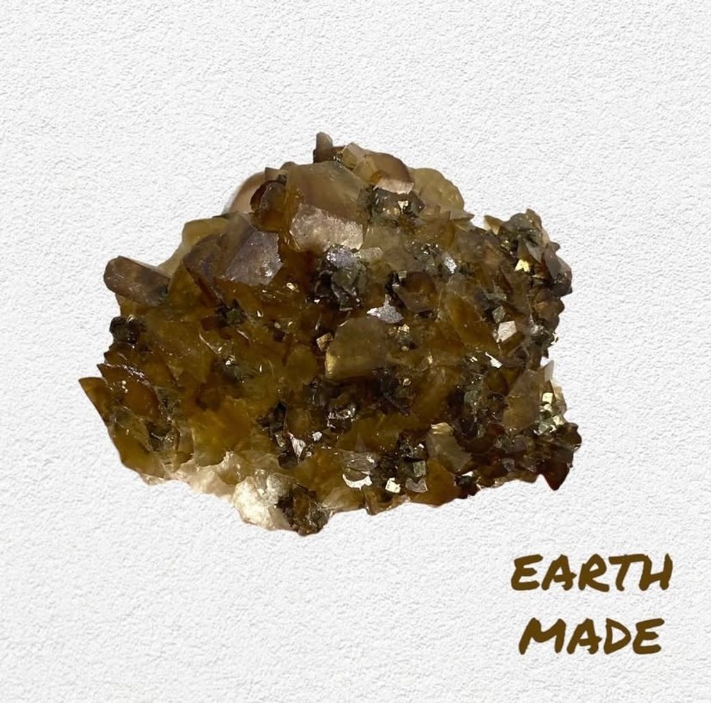 IMG_7821-1734067824204