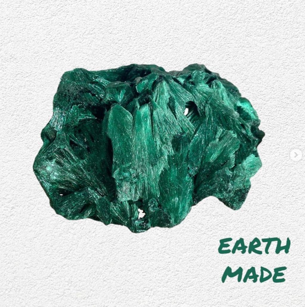 螢幕擷取畫面 2024-12-17 181739