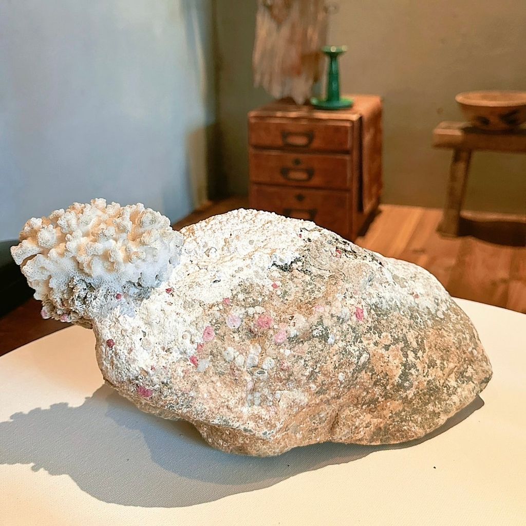 IMG_8677-1735107351246