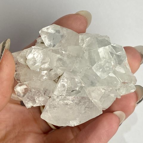 IMG_8765-1735208249014