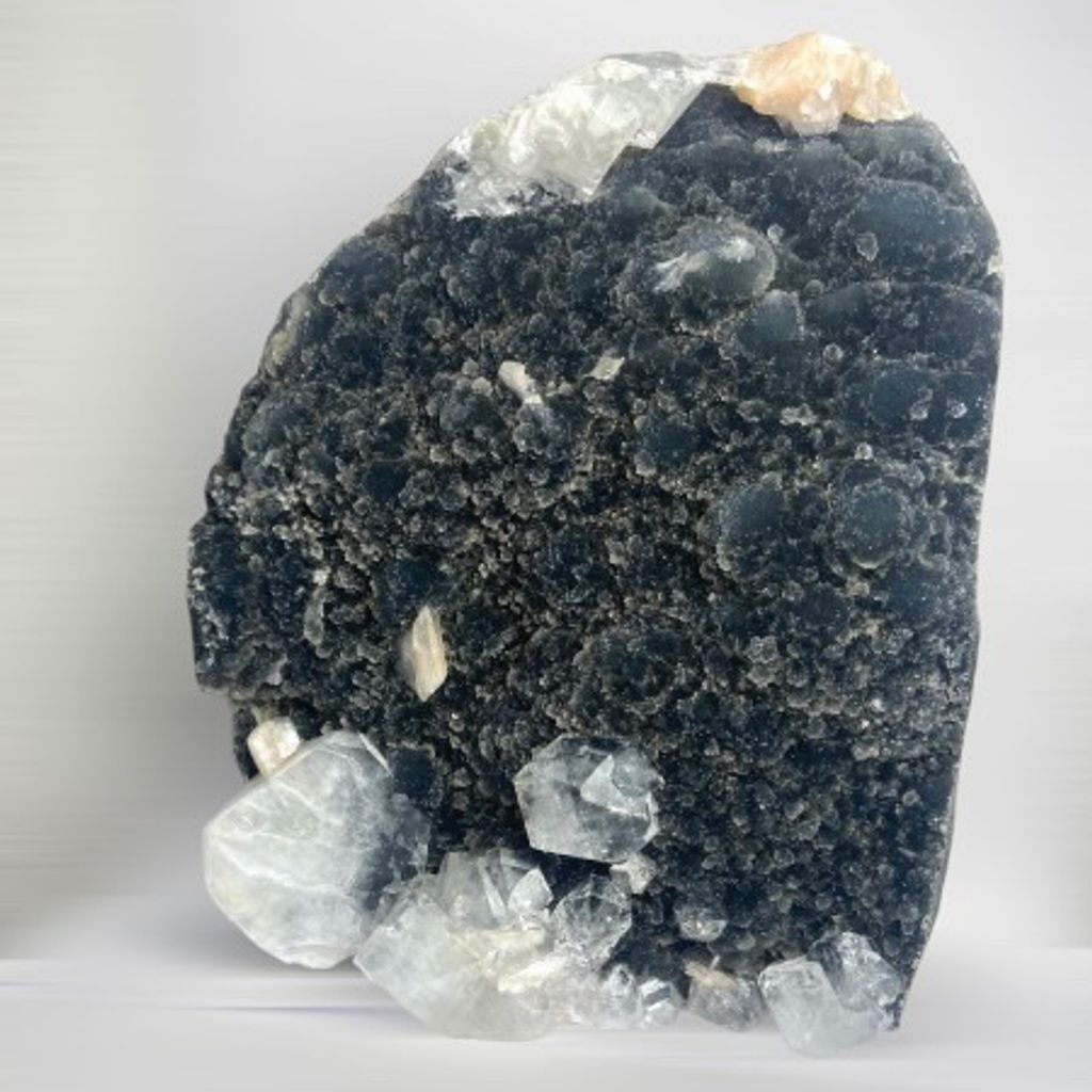 A4D2ACBB-7E83-4E3C-B04E-4C96DEE29E54