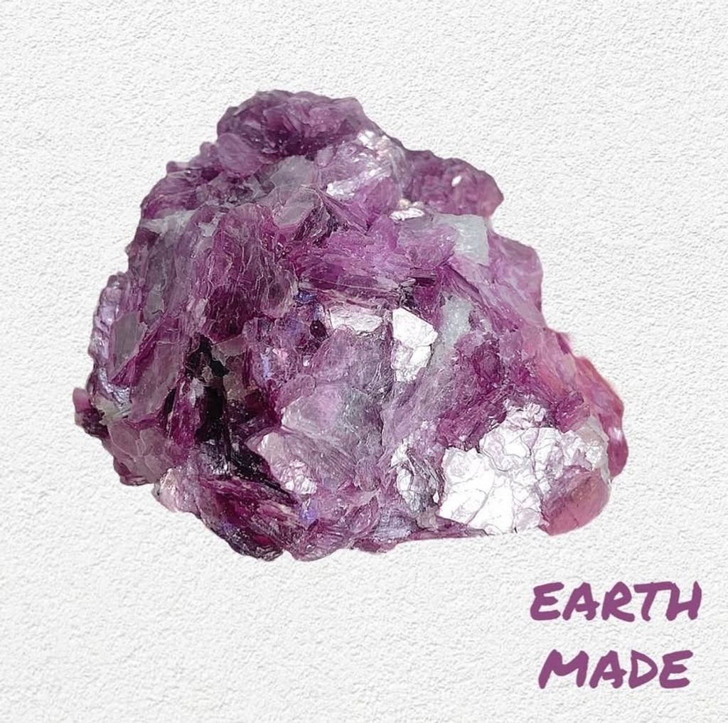 IMG_0482-1736991300925