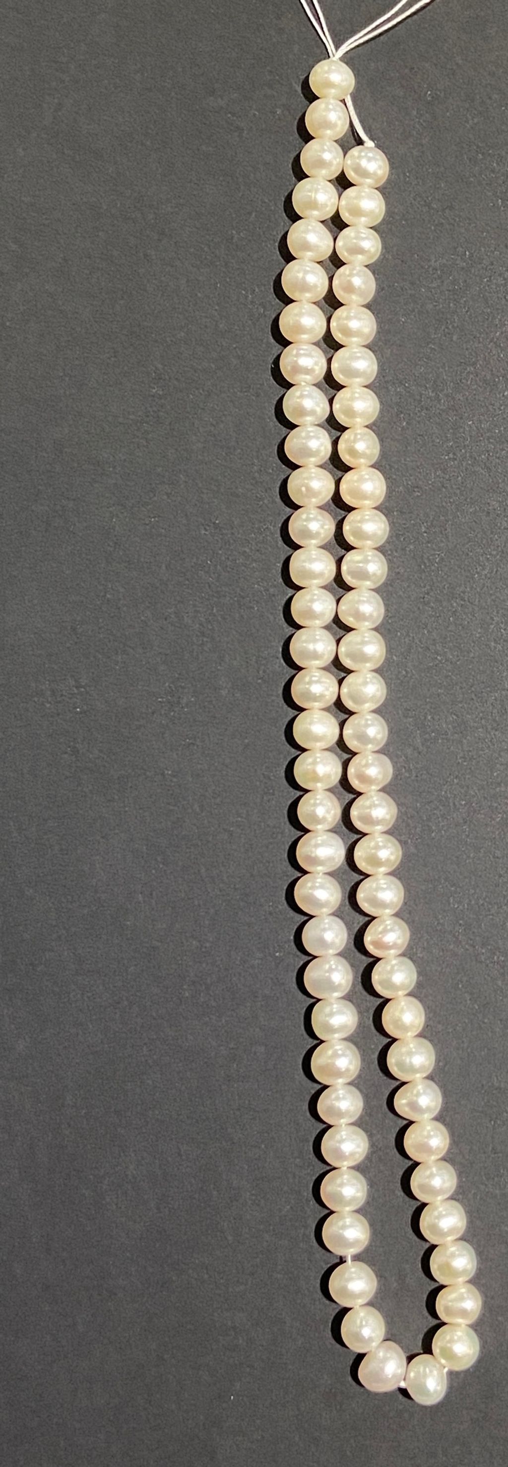 IMG_1249-1738581794066