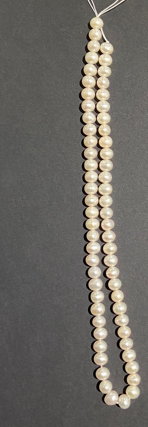 IMG_1249-1738581794066