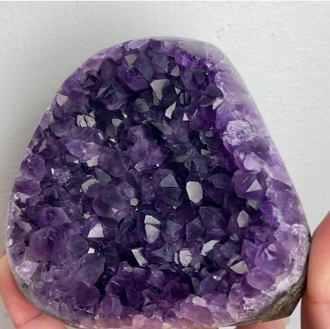 IMG_1365-1738740395015