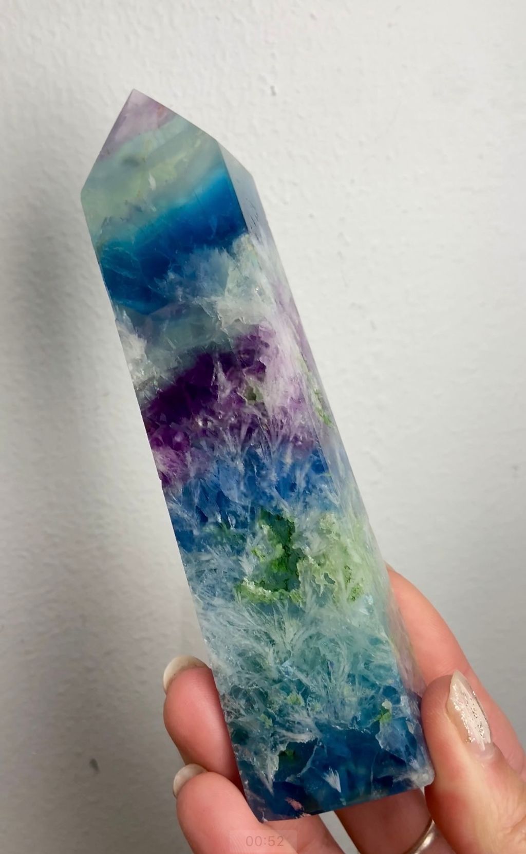 IMG_1559-1739100145848