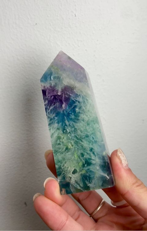 IMG_1558-1739100269570